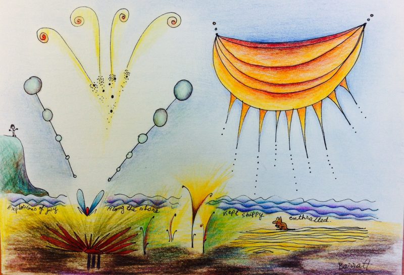 "Explosions of joy, Along the shore, Kept Skippy enthralled"  A4/Ink and coloured pencil on paper